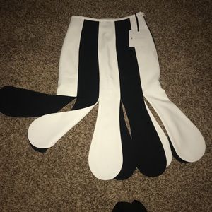 Victoria Beckham skirt